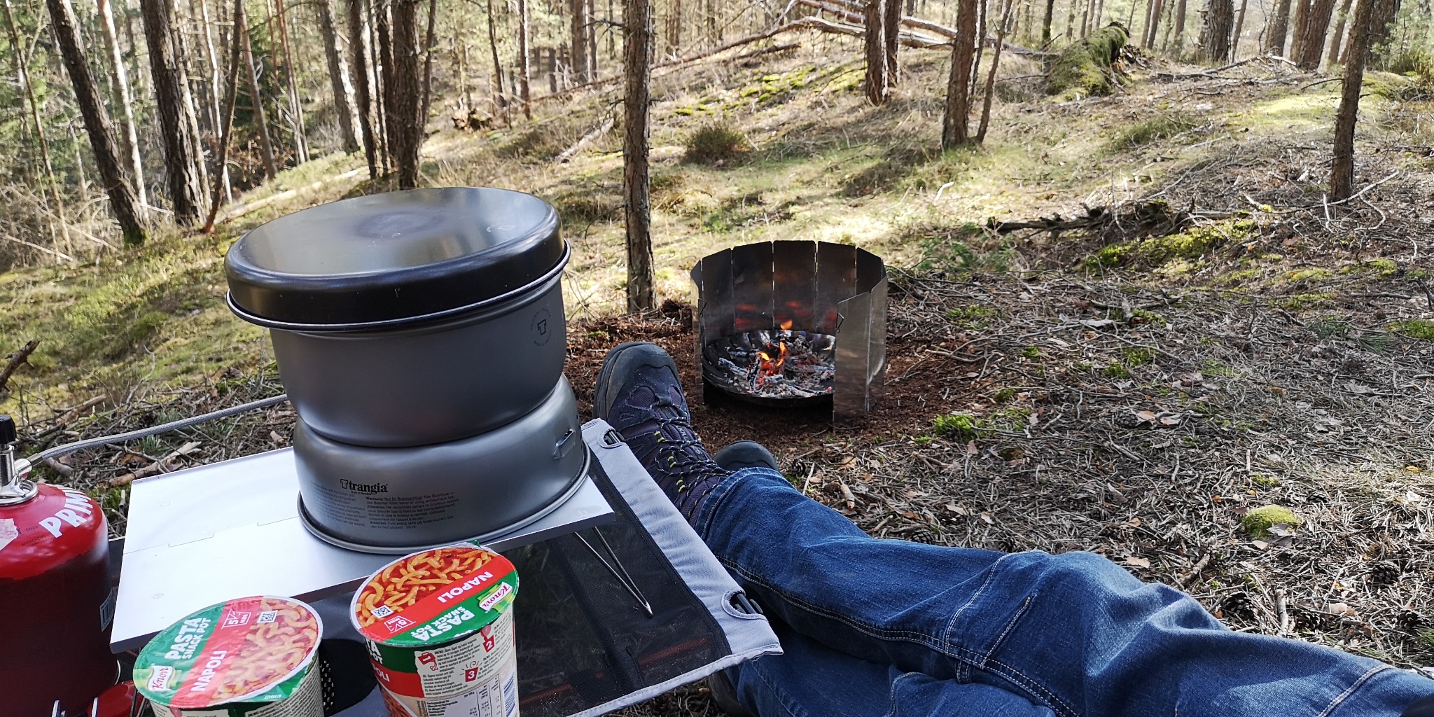 A peaceful forest stop during a hike